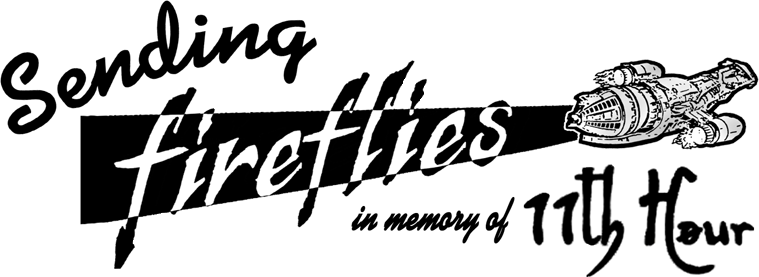 Sending fireflies in memory of 11thHour
